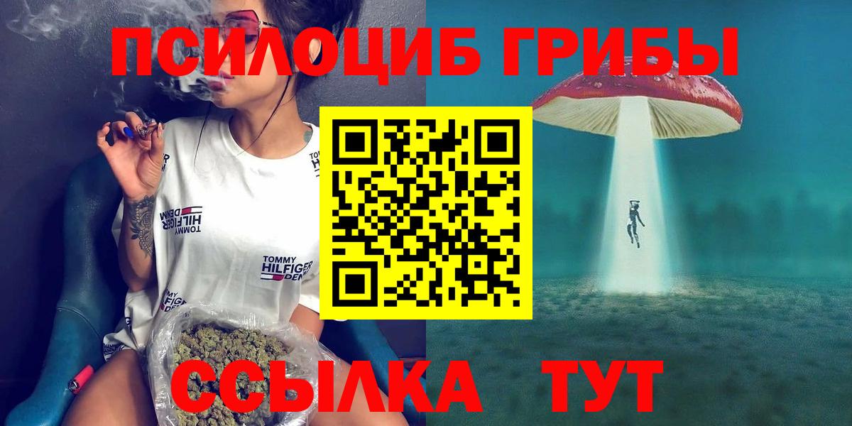 Псилоцибиновые грибы ЛСД  Вход с VPN  купить наркотики сайты  Ливны 