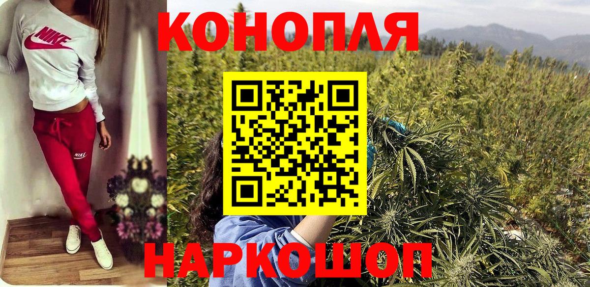 Ливны  Бошки марихуана план  Конопля OG Kush  Вход с VPN  Бошки марихуана OG Kush  Шишки марихуана гибрид 